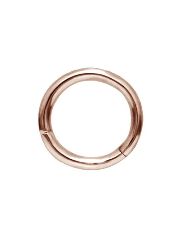 silver dragon claw ring 6.5mm High Polish Single Rose Gold Hoop Earring
