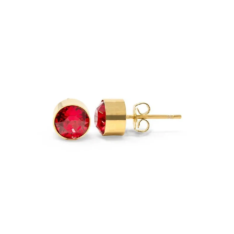 Stainless Steel Stud Earring January Birthstone Gold Plated