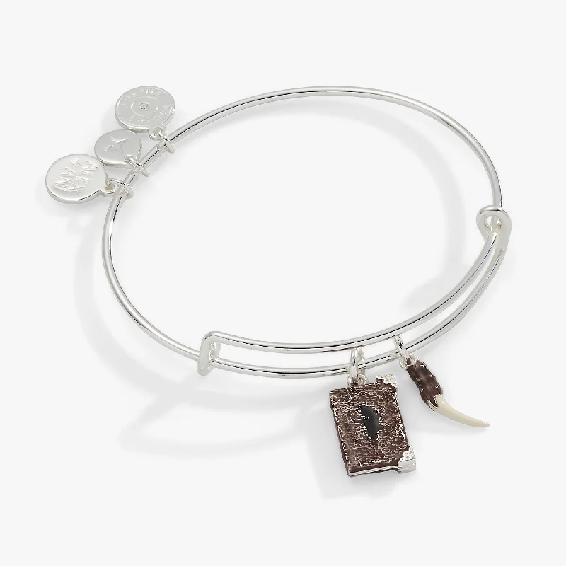minimalist gold square earrings Harry Potter™ Diary and Basilisk Fang Bangle